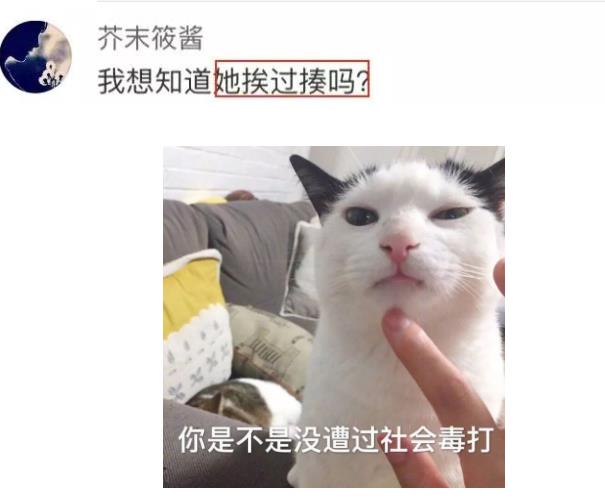 高铁骂人女乘客被抓:6分钟竟连骂几百句cnm的