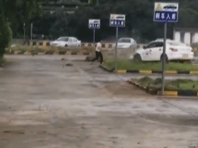 ���������ת25Ȧ