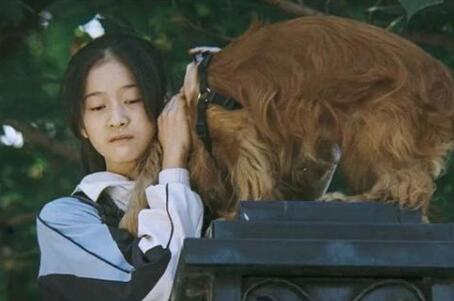 狗十三结局是什么意思:狗十三想要告诉我们什