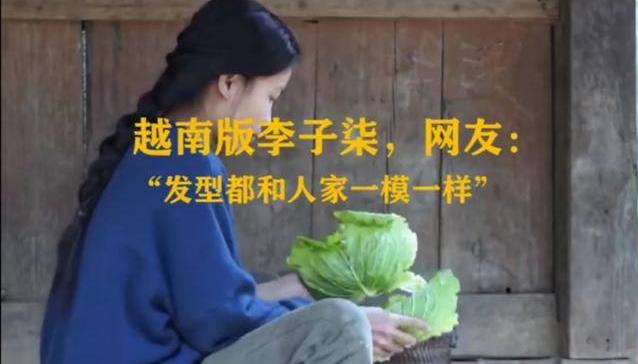 越南博主抄袭李子柒 越南博主抄袭李子柒