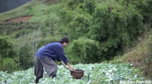 越南博主抄袭李子柒 越南博主抄袭李子柒