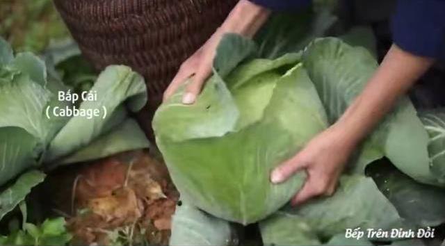 越南博主抄袭李子柒 越南博主抄袭李子柒